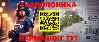 МДПВ Будённовск